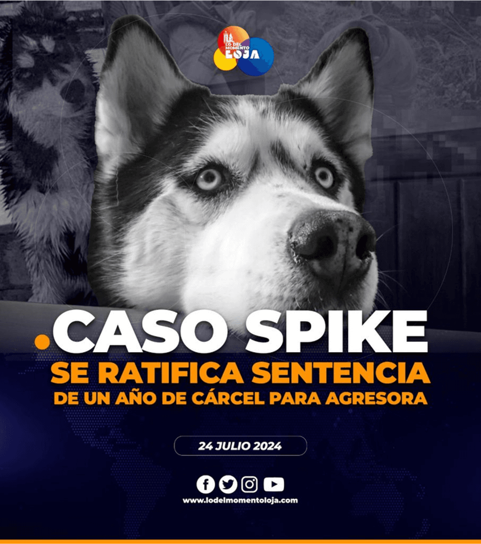 Caso Spike